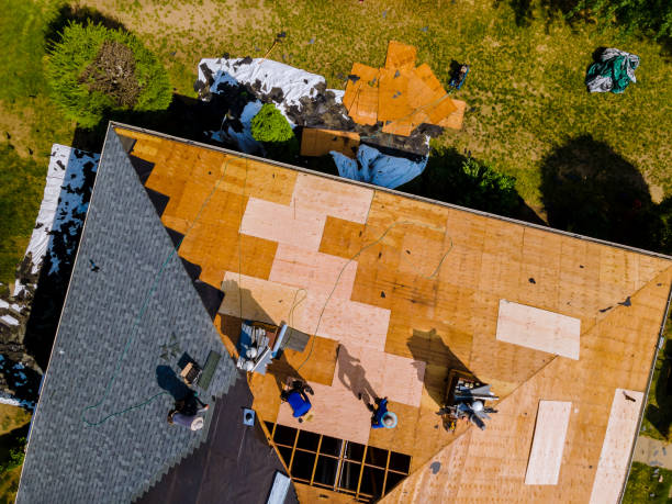 Best Residential Roofing Contractor  in Zephyrhills South, FL