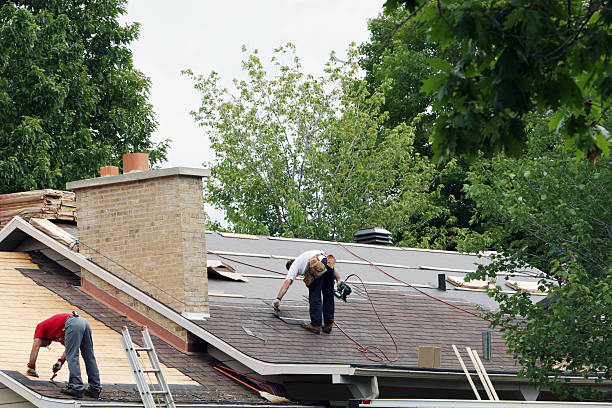 Roof Gutter Cleaning in Zephyrhills South, FL