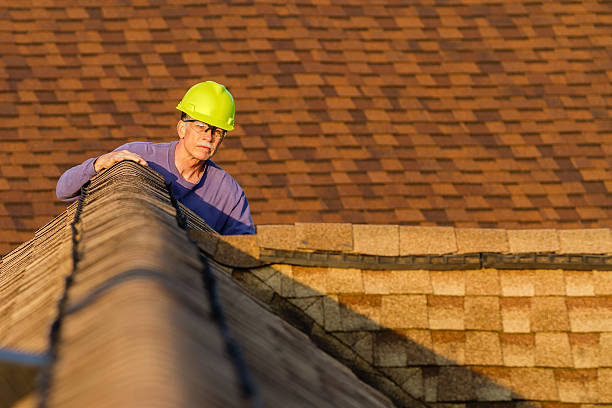 Best Residential Roofing Contractor  in Zephyrhills South, FL